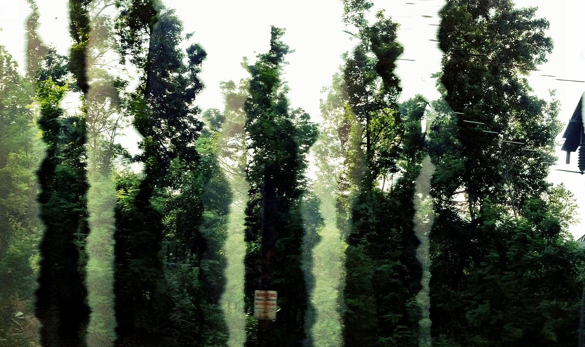 Pano Error No.14