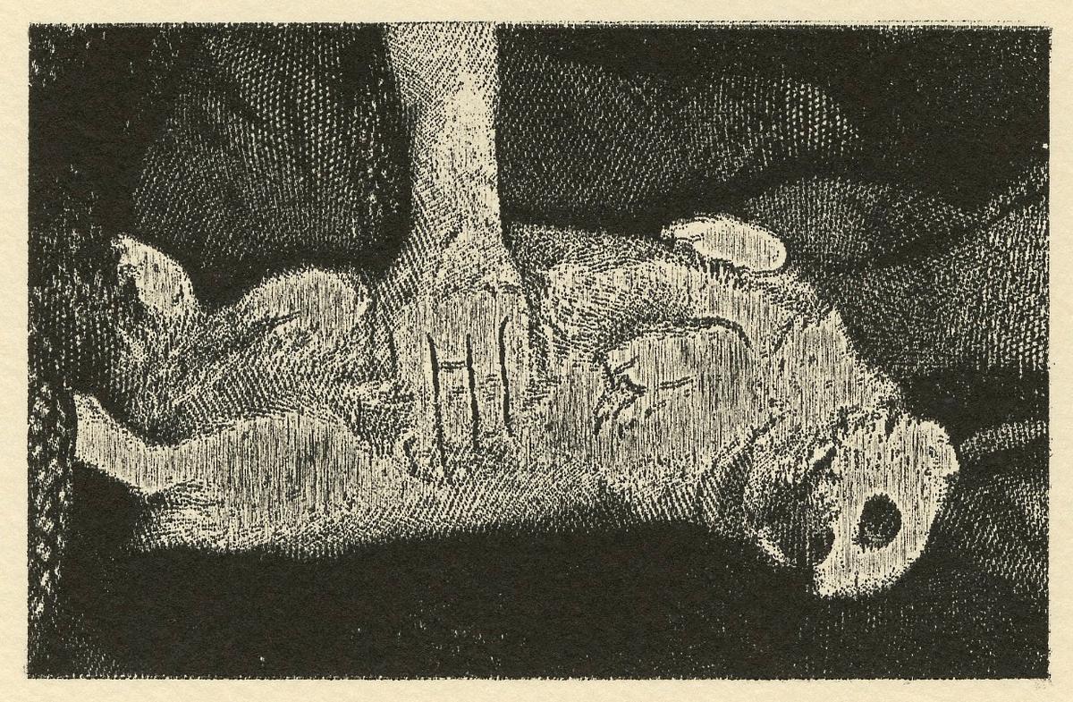 Two Muses No. 11 (Soft Parts)