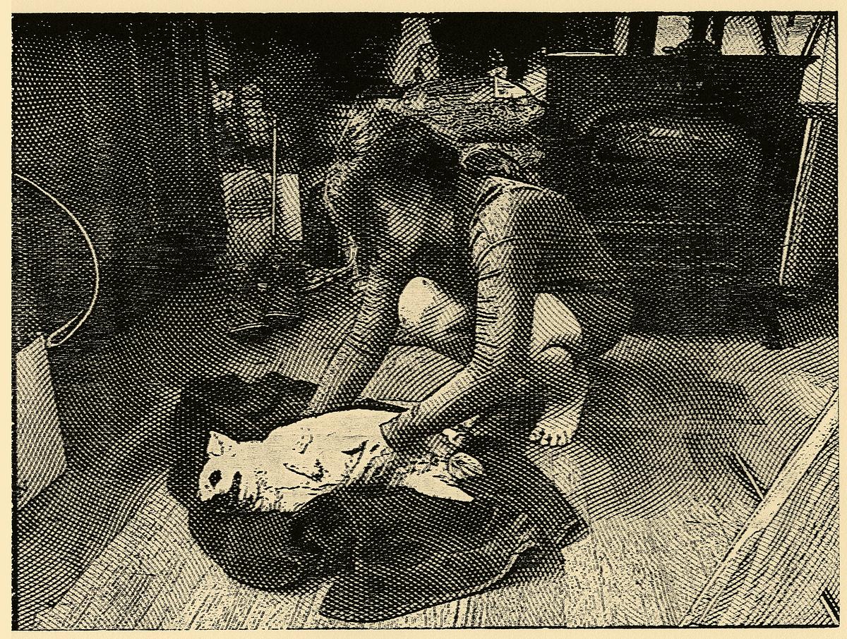 Two Muses No.9 (Post Rainfall Ritual)