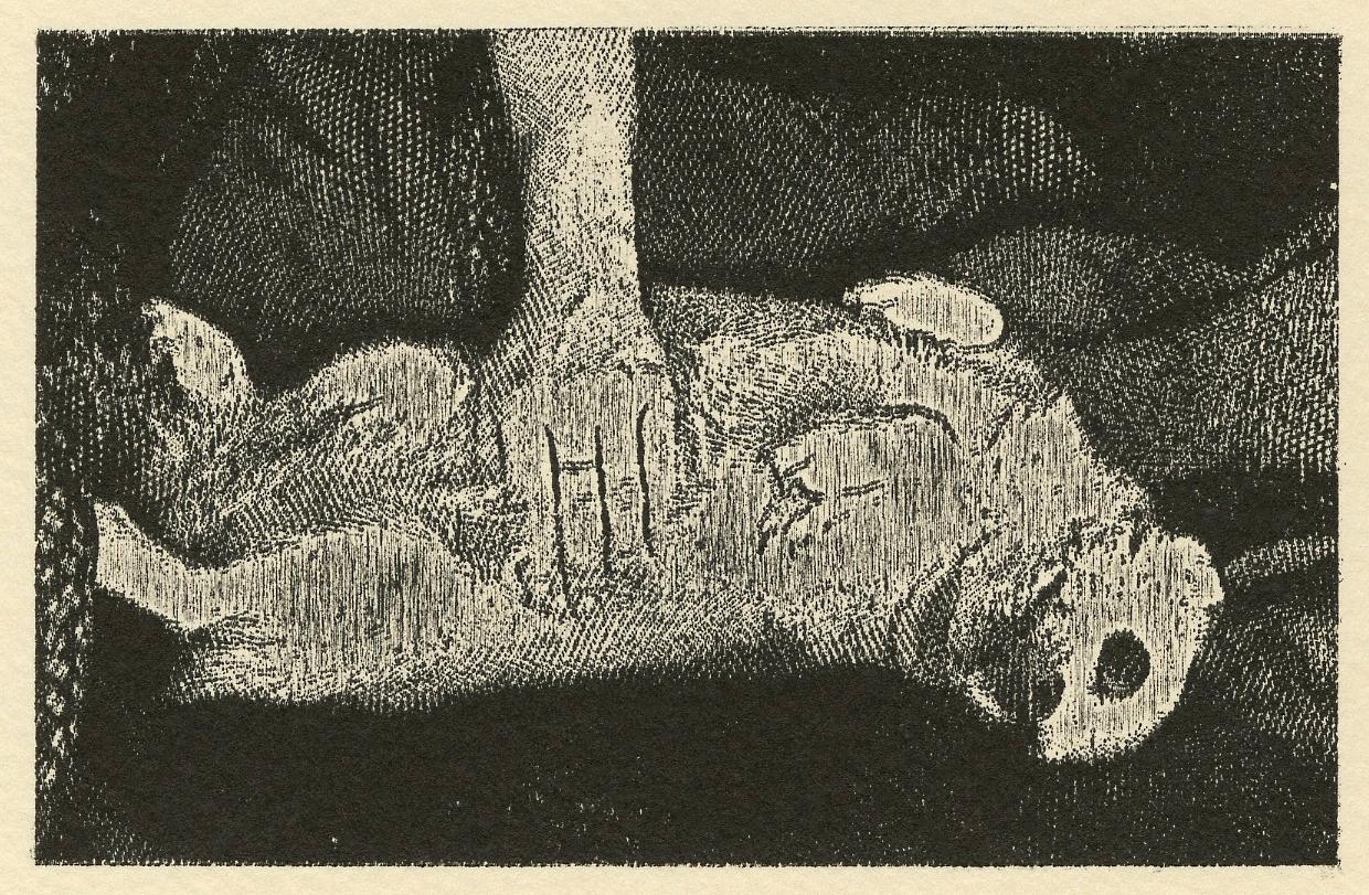 Two Muses No. 11 (Soft Parts)