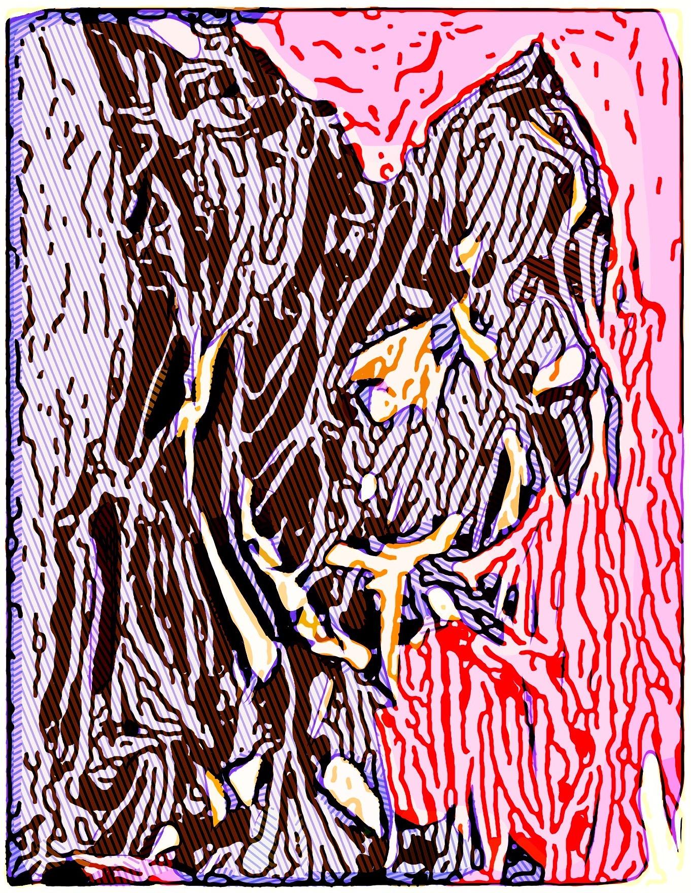 Reinvented Transmutations 52