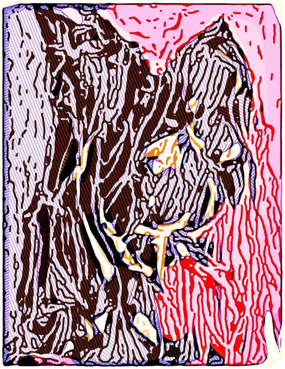 Reinvented Transmutations 52